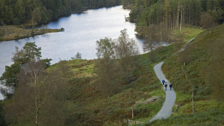 View of walkers on the path around Tarn Hows